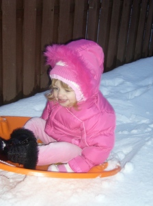 Em in the back yard getting used to the sled idea